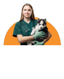 Veterinarian Approved